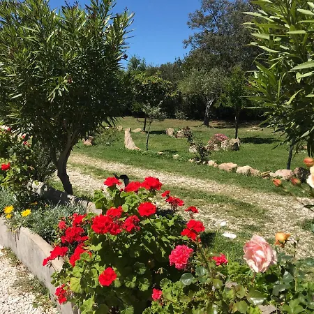 Rustichome Apartment