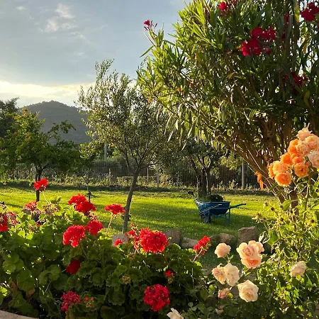 Rustichome アパート Torpè