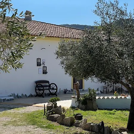 Rustichome アパート *