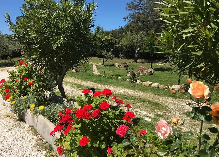 Rustichome Apartment