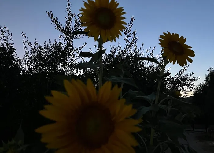 Appartement Rustichome *